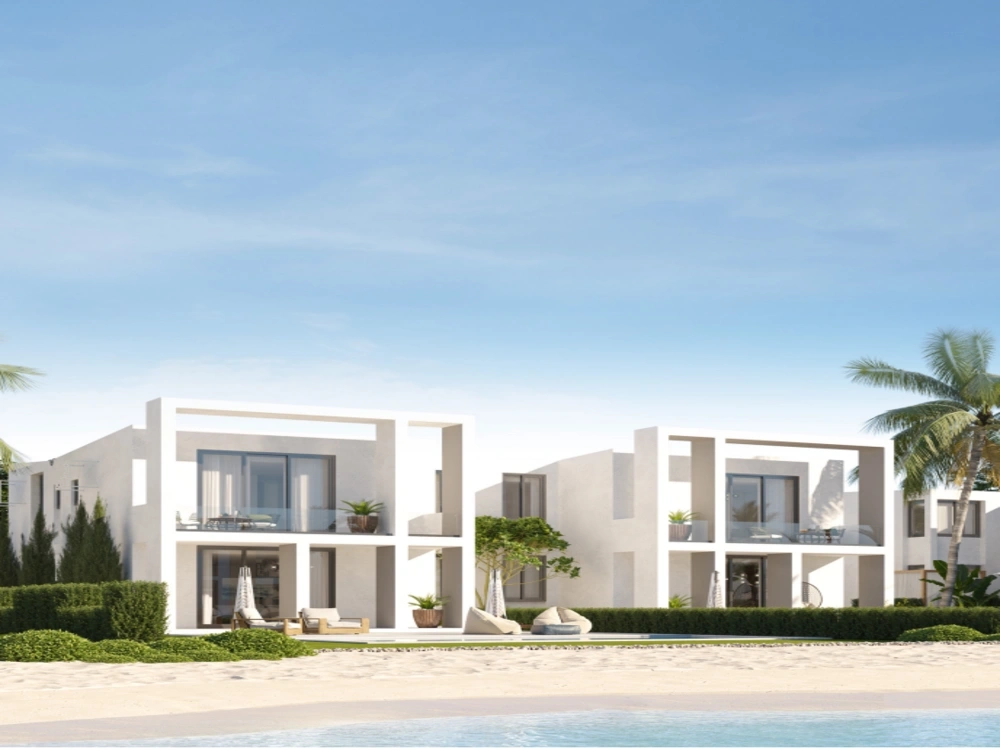 دي باي gallery image